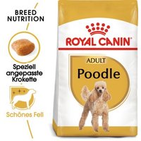 ROYAL CANIN Poodle Adult 1,5 kg von Royal Canin