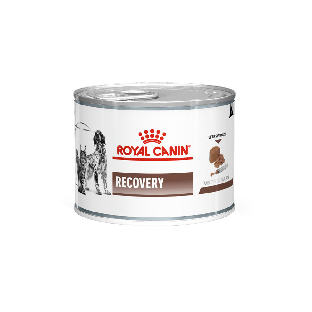 Royal Canin Recovery - 12 x 195 g Royal Canin Recovery - 12 x 195 g von Royal Canin