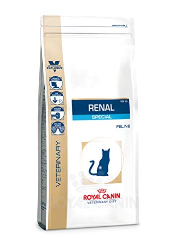 Royal Canin Renal Special Katze Trockenfutter - Bei chronischer Niereninsuffizienz 1x500g von Royal Canin
