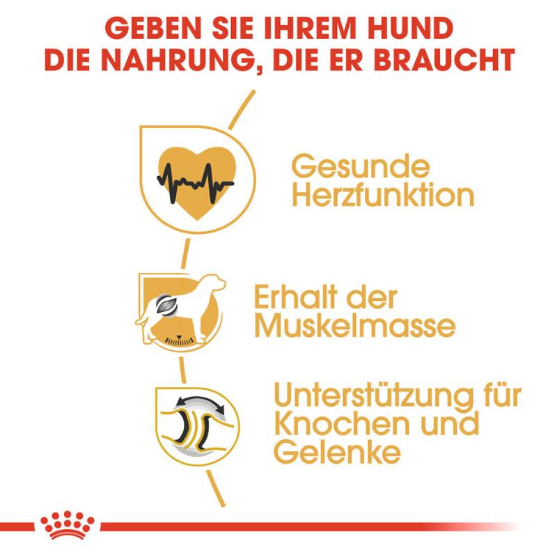 Royal Canin Rottweiler Adult Hundefutter - 12 kg von Royal Canin
