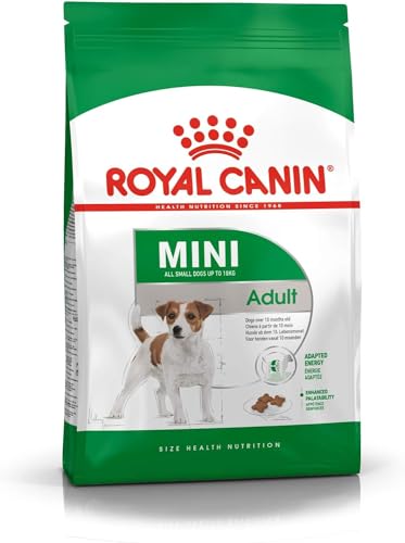 Royal Canin Mini Adult | 800 g | Trockennahrung für ausgewachsene kleine Hunde | Kann zur optimalen Versorgung Kleiner Hunderassen eingesetzt Werden | Mit EPA & DHA von ROYAL CANIN