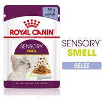 ROYAL CANIN SENSORY Smell in Gelee für wählerische Katzen 12x85g von Royal Canin