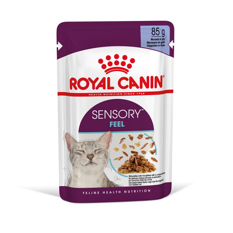 Royal Canin Sensory Feel in Gelee - Sparpaket: 48 x 85 g von Royal Canin
