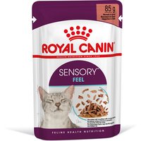 Royal Canin Sensory Feel in Soße - 24 x 85 g von Royal Canin