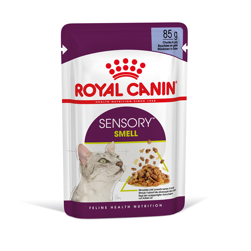 Royal Canin Sensory Smell in Gelee - Sparpaket: 48 x 85 g Royal Canin Sensory Smell in Gelee - Sparpaket: 48 x 85 g von Royal Canin
