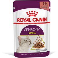 Royal Canin Sensory Smell in Soße - 12 x 85 g von Royal Canin