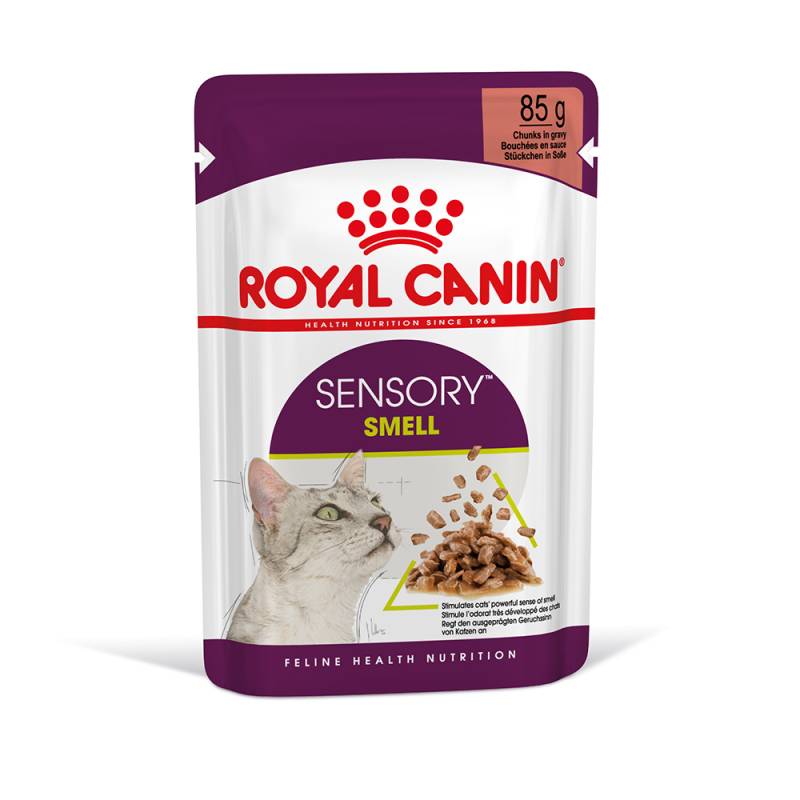 Royal Canin Sensory Smell in Soße - 12 x 85 g von Royal Canin