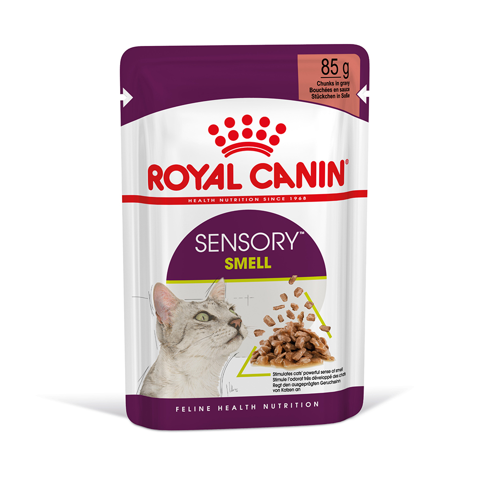 Royal Canin Sensory Smell in Soße - 48 x 85 g von Royal Canin