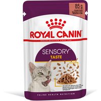 Royal Canin Sensory Taste in Soße - 24 x 85 g von Royal Canin