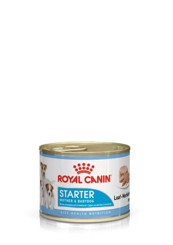 Royal Canin Starter Mousse 12 x 195 g Royal Canin Starter Mousse 12 x 195 g von Royal Canin