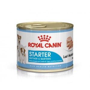 Royal Canin Starter Mousse Mother & Babydog 195 gr 1 Palette (12 x 195 g) von Royal Canin