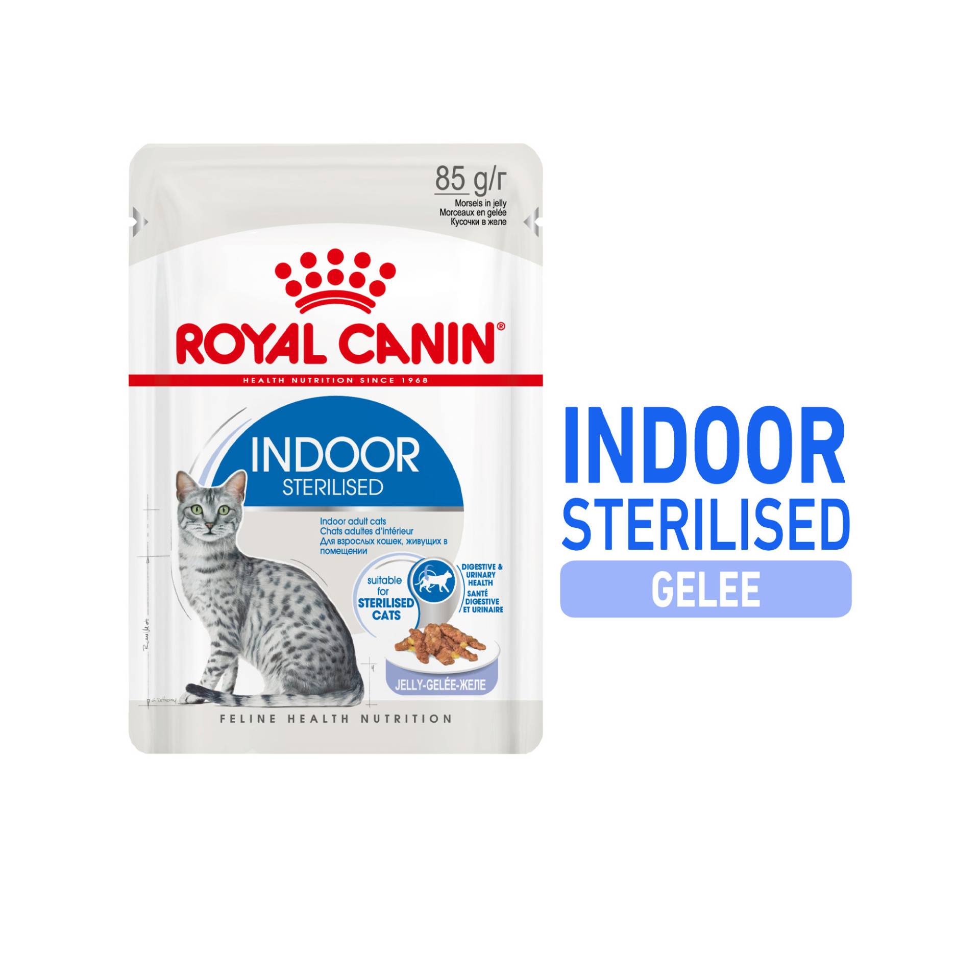 Royal Canin Sterilised Indoor in Jelly Katzenfutter - Frischebeutel - 12 x 85 g von Royal Canin