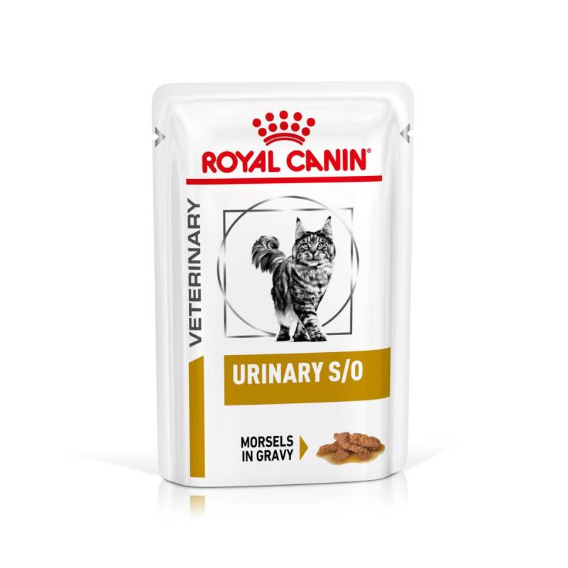 ROYAL CANIN® Veterinary URINARY S/O Häppchen in Soße Nassfutter für Katzen 48x85g von Royal Canin
