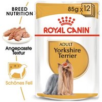 ROYAL CANIN Yorkshire Terrier Adult Mousse 12x85 g von Royal Canin