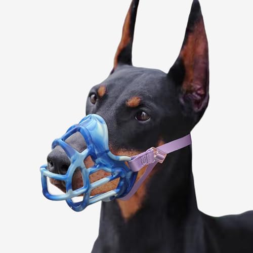 Maulkorb für Hunde, Korbmaulkorb gegen Beißen, Kauen, stabiler, leichter Maulkorb ermöglicht Hecheln Trinken, Käfigmaulkorb für kleine, mittelgroße und große Hunde, für Fellpflege, Trimmtraining Maulkorb für Hunde, Korbmaulkorb gegen Beißen, Kauen, stabiler, leichter Maulkorb ermöglicht Hecheln Trinken, Käfigmaulkorb für kleine, mittelgroße und große Hunde, für Fellpflege, Trimmtraining von Royal Claws