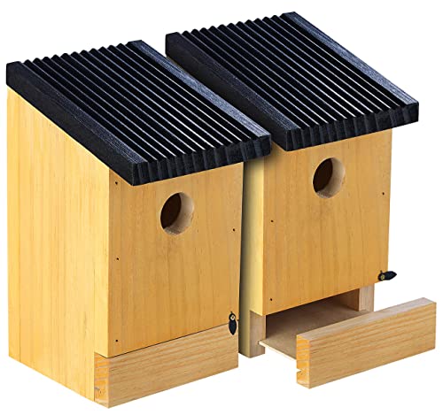 Royal Gardineer Vogelhaus: 2er-Set Tannenholz-Nistkästen für Wildvögel, 22x14x12 cm, vormontiert (Nistkasten für Meisen, Vogelhaus als Nistkasten, Bausatz) von Royal Gardineer