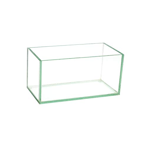 Royal Imports Blumenvase, Glasvase, dekorativer Tafelaufsatz für Zuhause oder Hochzeit, rechteckig, 20,3 cm, transparent Royal Imports Blumenvase, Glasvase, dekorativer Tafelaufsatz für Zuhause oder Hochzeit, rechteckig, 20,3 cm, transparent von Royal Imports