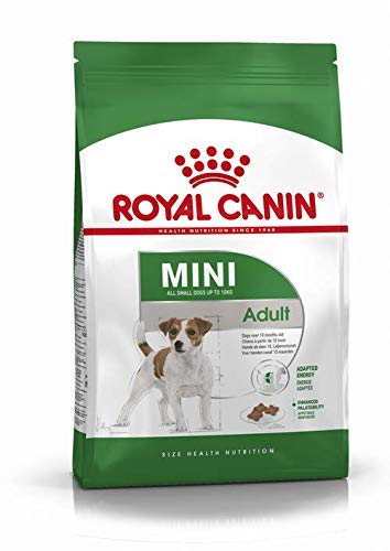 RoyalCanin Mini-Erwachsene, 4 kg, Futter für kleine Hunde und Toys | Mastro-Darm-Futter mit großem Geschmack, der das Gewicht kontrolliert, entfernt Zahnfleisch und hält Haar und Haut gesund von RoyalCanin