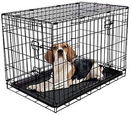 Hundekäfig aus Metall, zusammenklappbar, 76,2 cm, Doppeltüren, mit kaufestem Kunststoffboden und Tragegriff, für Welpentraining, faltbare Tierbox für drinnen und draußen Hundekäfig aus Metall, zusammenklappbar, 76,2 cm, Doppeltüren, mit kaufestem Kunststoffboden und Tragegriff, für Welpentraining, faltbare Tierbox für drinnen und draußen von Royalswill