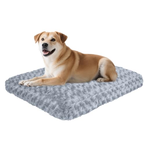 Roypet Waschbares Deluxe-Hundebett, superweiche Memory-Schaumstoff-Hundematratze – bequem das ganze Jahr über, unverzichtbar für große Hunde (Grau, L) von Roypet
