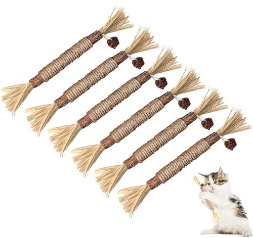 Roysmart 6 Stück Katzenminze Sticks, Katzen Zahnpflege Spielzeug, Kausticks für Katzen, Katzen Kauhölzer Silvervine Sticks zur Katzen Zahnpflege und Gegen Mundgeruch von Roysmart