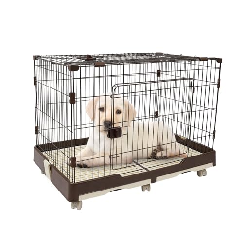 Haustierkäfig für Hunde und Katzen – Tragbarer Haustiertransporter mit 2 Türen,mit Rädern, modernem Kaffee-Design und praktischem herausziehbarem Boden – ideal für zu Hause und unterwegs Haustierkäfig für Hunde und Katzen – Tragbarer Haustiertransporter mit 2 Türen,mit Rädern, modernem Kaffee-Design und praktischem herausziehbarem Boden – ideal für zu Hause und unterwegs von Royyalpa