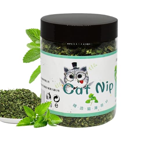 Bio-Katzenminze, unterstützt die Darmfunktion, reduziert Haarballen und Erbrechen, verbessert die Verdauung, fördert gesündere Magenaktivität, natürlicher Wellness-Boost für Katzen im Innen- und Bio-Katzenminze, unterstützt die Darmfunktion, reduziert Haarballen und Erbrechen, verbessert die Verdauung, fördert gesündere Magenaktivität, natürlicher Wellness-Boost für Katzen im Innen- und von Rproonay