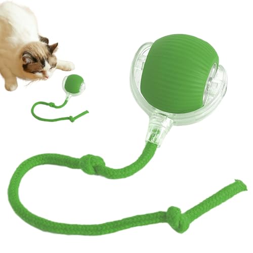 Rqrdww Smart Ball Katzenspielzeug, interaktives Haustierspielzeug, aktiver Rollball, Indoor-Katzen-Trainingsball, interaktives Hundespielzeug, automatischer Katzenball, 6 x 6 x 6 cm, 60 g für Rqrdww Smart Ball Katzenspielzeug, interaktives Haustierspielzeug, aktiver Rollball, Indoor-Katzen-Trainingsball, interaktives Hundespielzeug, automatischer Katzenball, 6 x 6 x 6 cm, 60 g für von Rqrdww