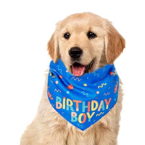 Rrlihjgu Bandana für Hunde, Hundegeburtstag, , -Lätzchen, niedlicher Knochen, verstellbares Haustierzubehör, niedlicher Knochen, entzückender Hundeschal zum , Outdoor-Geburtstag Rrlihjgu Bandana für Hunde, Hundegeburtstag, , -Lätzchen, niedlicher Knochen, verstellbares Haustierzubehör, niedlicher Knochen, entzückender Hundeschal zum , Outdoor-Geburtstag von Rrlihjgu