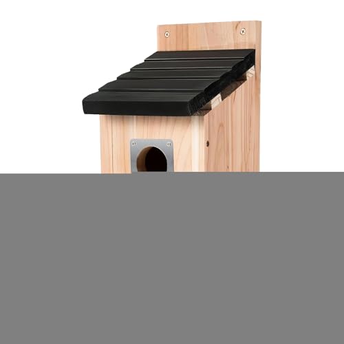 Rrlihjgu Kolibri-Haus | Vogelhütte aus Naturholz zum Aufhängen, wasserdichte Hütte aus Holz, natürliche Heimdekoration, für Innenfenster, Innenhof, Rasen, Baum, Garten, Terrasse Rrlihjgu Kolibri-Haus | Vogelhütte aus Naturholz zum Aufhängen, wasserdichte Hütte aus Holz, natürliche Heimdekoration, für Innenfenster, Innenhof, Rasen, Baum, Garten, Terrasse von Rrlihjgu