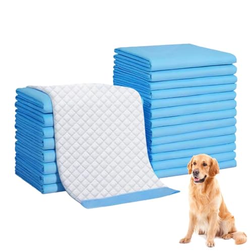 Rrlihjgu Urin-Pads für Haustiere, Windeleinlagen für Hunde, für das Training zur Toilette, Windeleinlagen für Haustiere, wesentliche Elemente für Welpen von Rrlihjgu