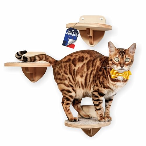 RshPets® Kletterwand Katzen - Set von 3 Katzentreppen - Katzenleiter - Katzen Wandelemente - Runde Stufen für Katze - Durchmesser 20 cm (Helle Farbe) von RshPets