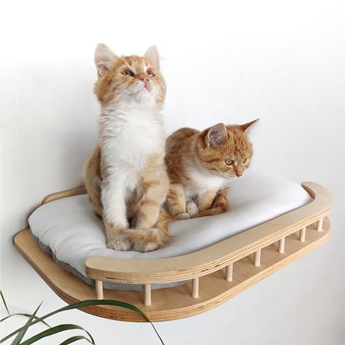RshPets® Wandmontiertes Katzenbett - Kletterwand Katzen - Hängematte für Katzen - Katzenregal - Katzenhängematte - Katzentreppe - Katzen Wandelemente - Katzen Kletterwand Set (Helle Farbe) von RshPets