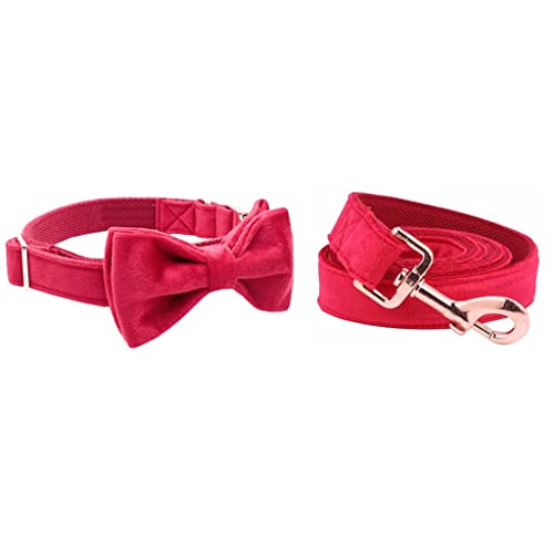 1 Set Hundehalsband und Leine, weich, bequem, Geschenk für kleine oder große Hunde, verstellbar (Farbe: B, Größe: X-Small) (B Medium) von Rsmmpqa