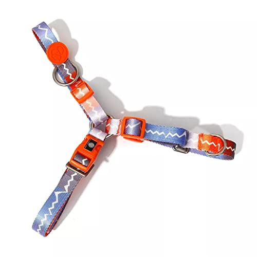 Designer-Halsband im Graffiti-Stil, verstellbar, für Hundeleine, Brustgurt, Tasche (Farbe: C, Größe: S) (C L) von Rsmmpqa