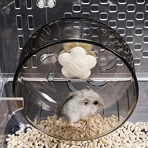 Hamster Laufräder Transparent Hamsterrad Laufen Joggen Laufband Leise Kleine Haustierbedarf Hamster Laufräder Transparent Hamsterrad Laufen Joggen Laufband Leise Kleine Haustierbedarf von Rsmmpqa