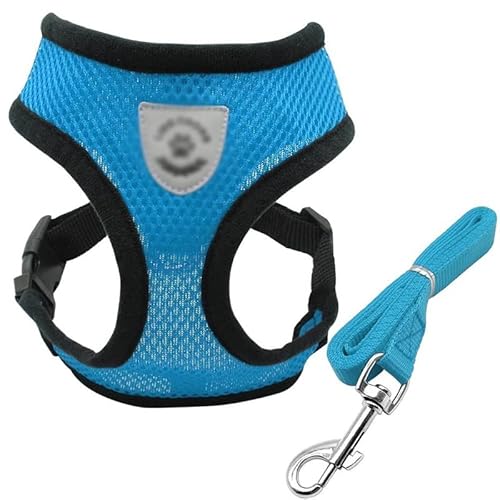 Haustierhalsbänder, niedliche Schleife, verstellbar, für Welpen, Chihuahua, Fliege, Haustiere, Kaninchen, Kätzchen, Halskette (Farbe: Rot, Größe: M) (Blau, klein) von Rsmmpqa