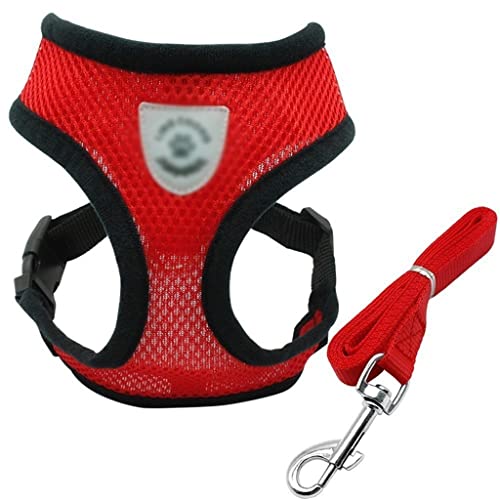 Haustierhalsbänder, niedliche Schleife, verstellbar, für Welpen, Chihuahua, Fliege, Haustiere, Kaninchen, Kätzchen, Halskette (Farbe: Rot, Größe: M) (Rot, klein) von Rsmmpqa