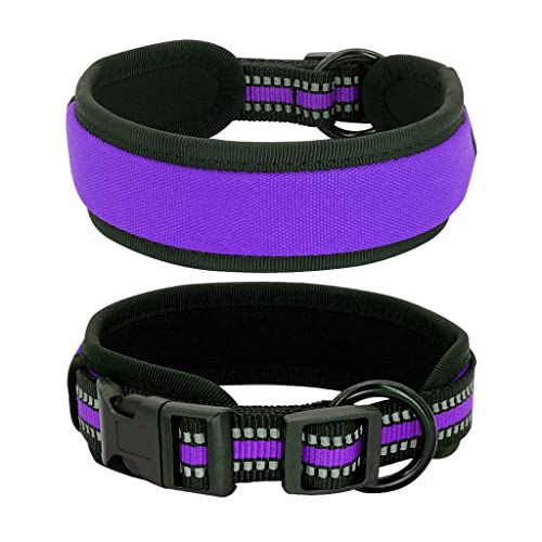 Hundehalsband, Nylon, reflektierend, weich gepolstert, breit, verstellbar, für Pitbull, Bulldogge, Mops, klein, mittel, groß (Farbe: Lila, Größe: M) (Lila, L) von Rsmmpqa