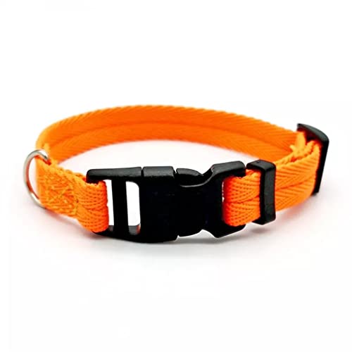 Nylon-Hundehalsband, modische Schnalle, Haustier-Halsband, Zubehör (Farbe: Blau, Größe: XL) (Orange X) von Rsmmpqa