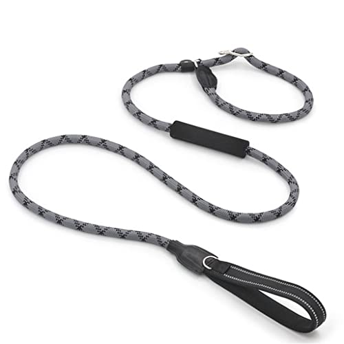 Reflektierende P-Kette, großes Schlupfhalsband, explosionsgeschütztes Hundeseil, bequemer Doppelgriff (Farbe: A, Größe: 12 mm x 180 cm) (C 12 mm x 180 cm) von Rsmmpqa