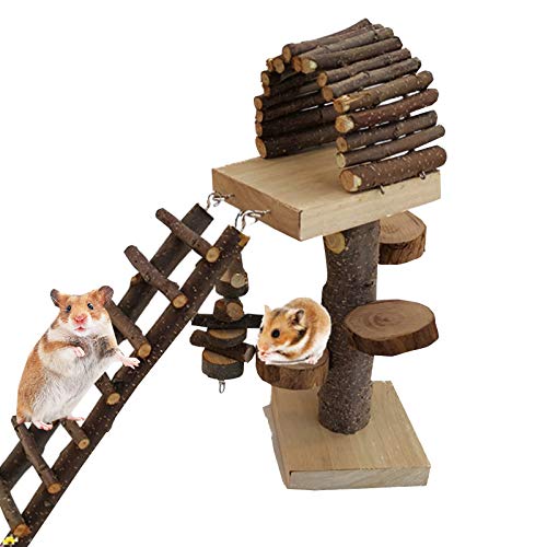 Rsmmpqa Hamster Holzhaus Plattform mit Leiter Spielplatz Clim Toys Stufen für Kleintiere Zuckergleiter Chinchilla Rsmmpqa Hamster Holzhaus Plattform mit Leiter Spielplatz Clim Toys Stufen für Kleintiere Zuckergleiter Chinchilla von Rsmmpqa