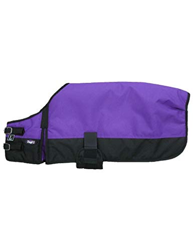 Rsmmpqa Hundedecke, Jägergrün, Größe L, Orange, Größe L, Violett von Rsmmpqa
