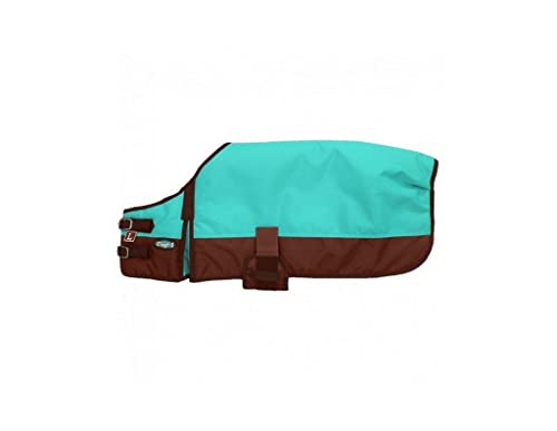 Rsmmpqa Hundedecke Hunter Green Large (Orange Large) (Türkis XX) von Rsmmpqa