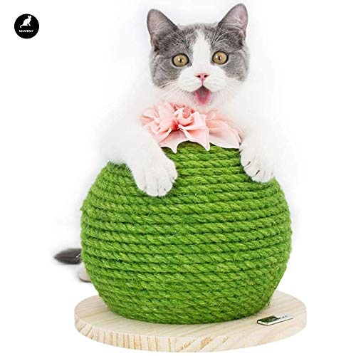 Rsmmpqa Kaktus Katze Kratzspielzeug Katze Greifer Interaktive Schleifen Krallen mit Blumen Lustige Geschenke mit Katzenbälle Kätzchen und Katzen Lösen Katzenstress Rsmmpqa Kaktus Katze Kratzspielzeug Katze Greifer Interaktive Schleifen Krallen mit Blumen Lustige Geschenke mit Katzenbälle Kätzchen und Katzen Lösen Katzenstress von Rsmmpqa