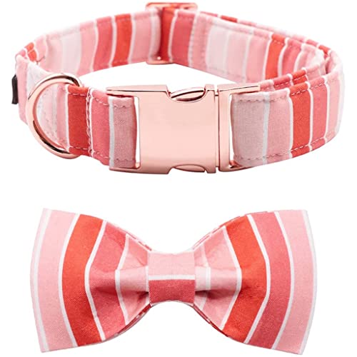 Valentine Hundehalsband mit Fliege, für große, mittelgroße und kleine Hunde (Größe X-Small), Rot von Rsmmpqa