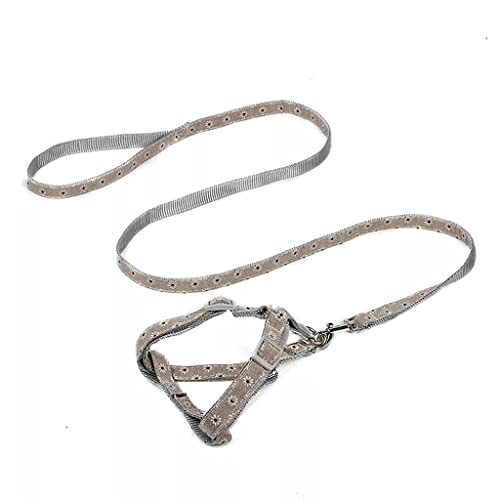 Verstellbares Hundegeschirr, Leine, Halsband, Welpen, kleine Hunde, Outdoor-Spaziergänge, Gurt, Gürtel (Farbe: A, Größe: 1 m) (B 1 m) von Rsmmpqa