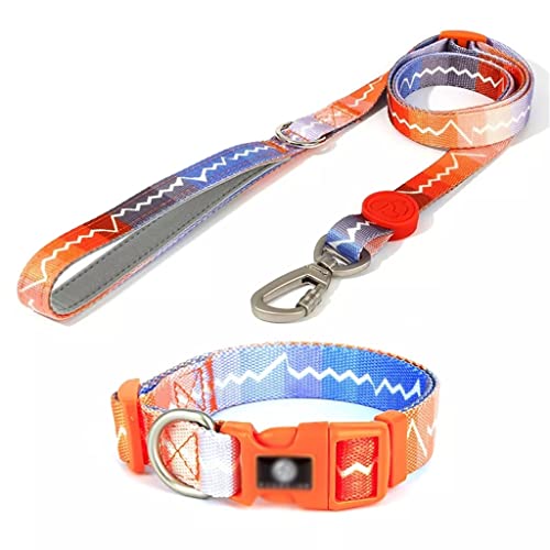 Verstellbares Hundehalsband im Graffiti-Stil, Brustgurt, Tasche (Farbe: B, Größe: L) (D Small) von Rsmmpqa
