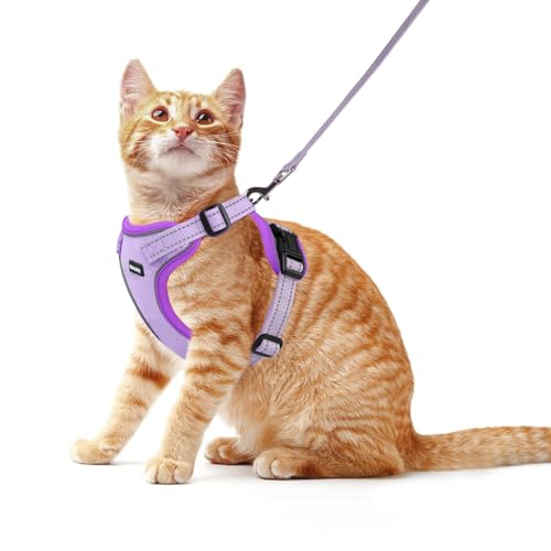 Rttochfy Hundegeschirr für kleine und mittelgroße Hunde – kein Ziehen Hundegeschirr und Leine Set – einfach anzulegen und verstellbar – Welpengeschirr mit reflektierenden Streifen zum Spazierengehen – Rttochfy Hundegeschirr für kleine und mittelgroße Hunde – kein Ziehen Hundegeschirr und Leine Set – einfach anzulegen und verstellbar – Welpengeschirr mit reflektierenden Streifen zum Spazierengehen – von Rttochfy