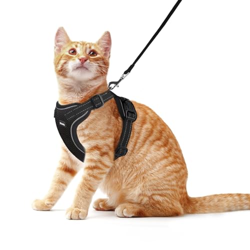 Rttochfy Hundegeschirr für kleine und mittelgroße Hunde – kein Ziehen Hundegeschirr und Leine Set – einfach anzulegen und verstellbar – Welpengeschirr mit reflektierenden Streifen zum Spazierengehen – Rttochfy Hundegeschirr für kleine und mittelgroße Hunde – kein Ziehen Hundegeschirr und Leine Set – einfach anzulegen und verstellbar – Welpengeschirr mit reflektierenden Streifen zum Spazierengehen – von Rttochfy